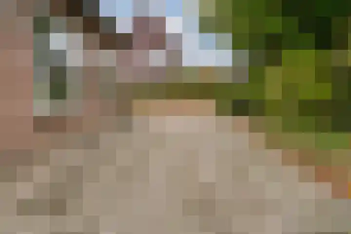 De Haspel 9 Arnhem thumbnail 9