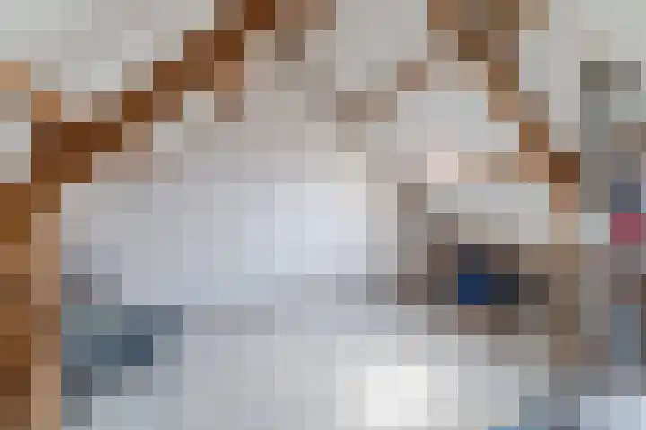 De Hasselt 10 Riethoven thumbnail 24