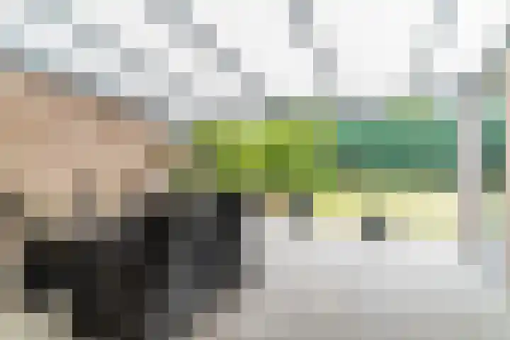 De Hasselt 10 Riethoven thumbnail 27