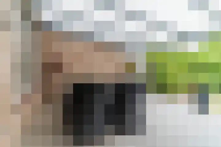 De Hasselt 10 Riethoven thumbnail 28