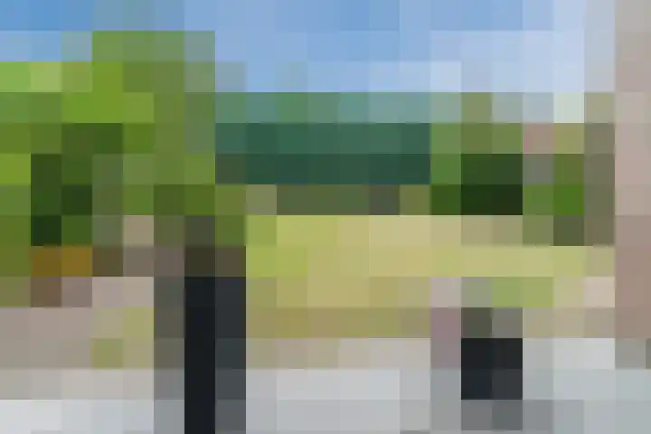 De Hasselt 10 Riethoven thumbnail 29
