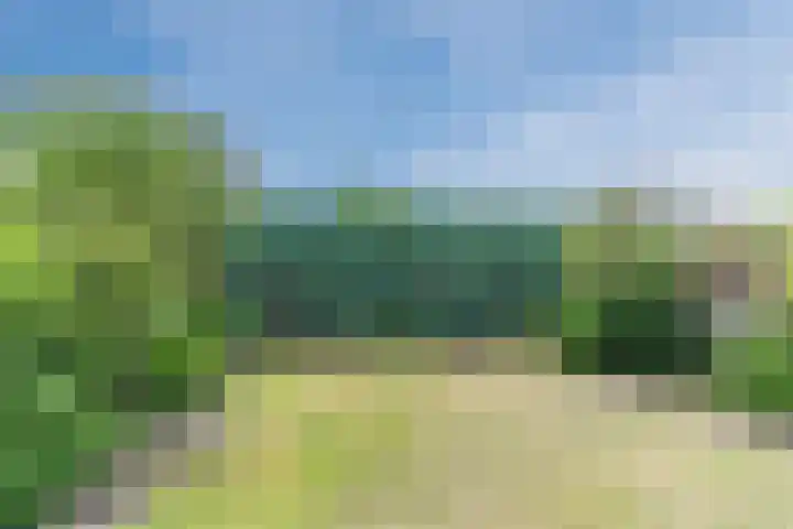De Hasselt 10 Riethoven thumbnail 30