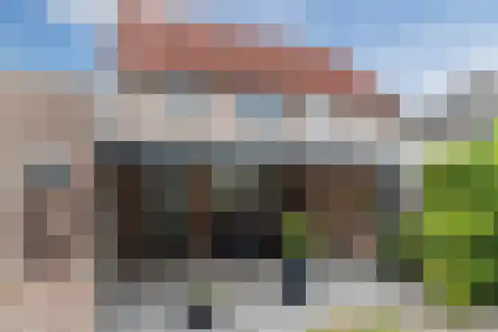 De Hasselt 10 Riethoven thumbnail 32
