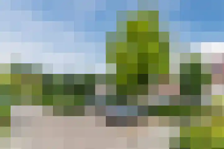 De Hasselt 10 Riethoven thumbnail 33