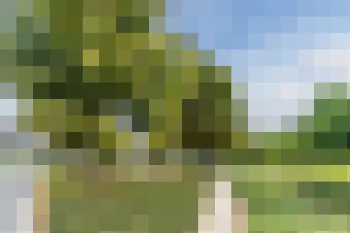 De Hasselt 10 Riethoven thumbnail 34