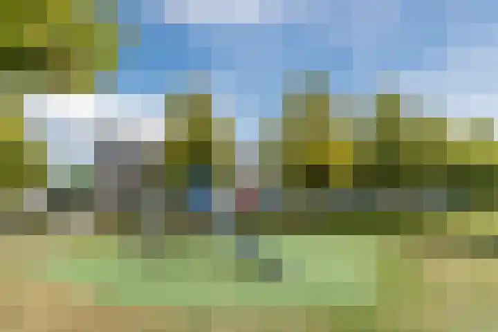 De Hasselt 10 Riethoven thumbnail 35