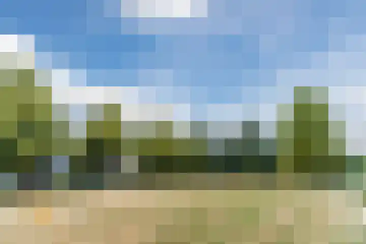 De Hasselt 10 Riethoven thumbnail 36