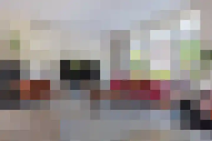 De Hasselt 5 Riethoven thumbnail 15