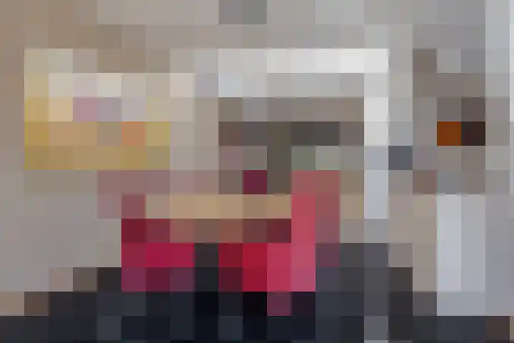 De Hasselt 5 Riethoven thumbnail 23