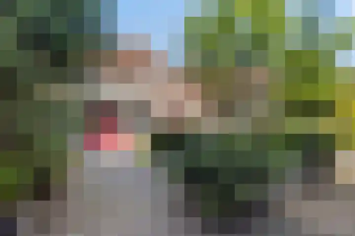 De Hasselt 5 Riethoven thumbnail 29