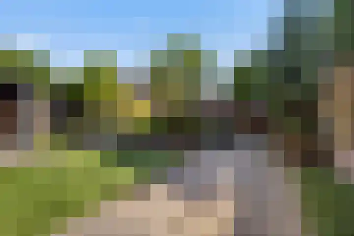 De Hasselt 5 Riethoven thumbnail 31