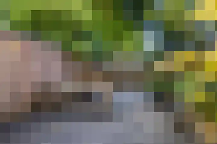 De Hasselt 5 Riethoven thumbnail 34