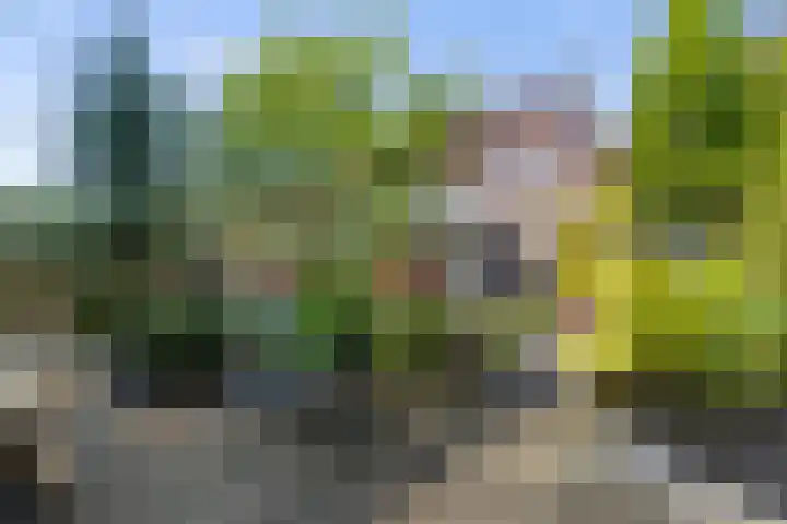 De Hasselt 5 Riethoven thumbnail 35
