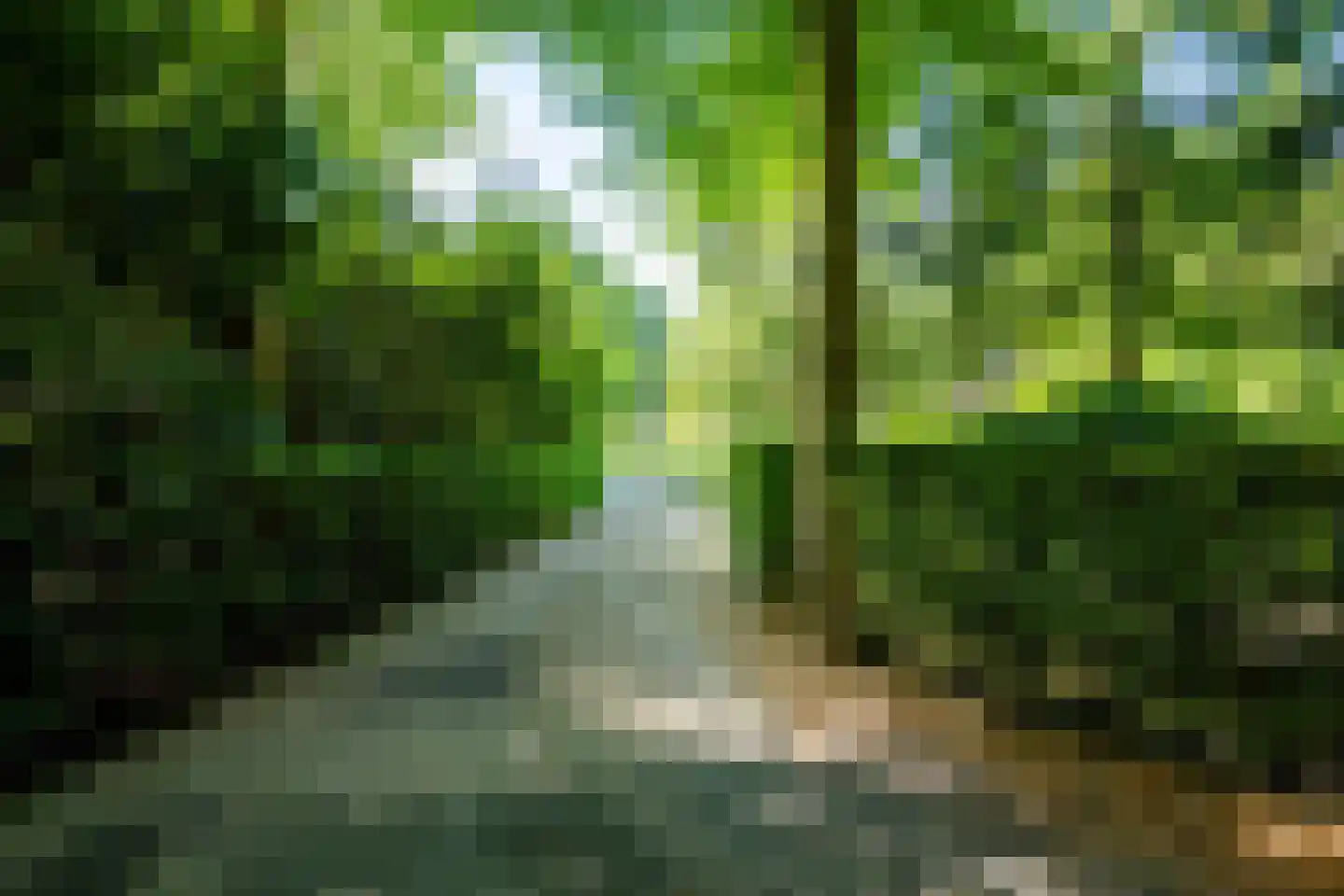 De Hasselt 5 Riethoven thumbnail 38