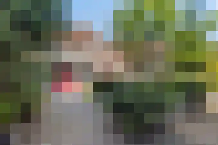De Hasselt 5 Riethoven thumbnail 5