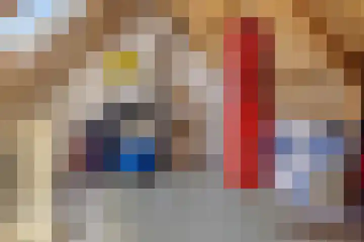 De Hasselt 5 Riethoven thumbnail 51