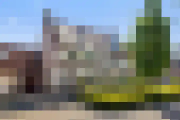 De Hasselt 5 Riethoven thumbnail 9