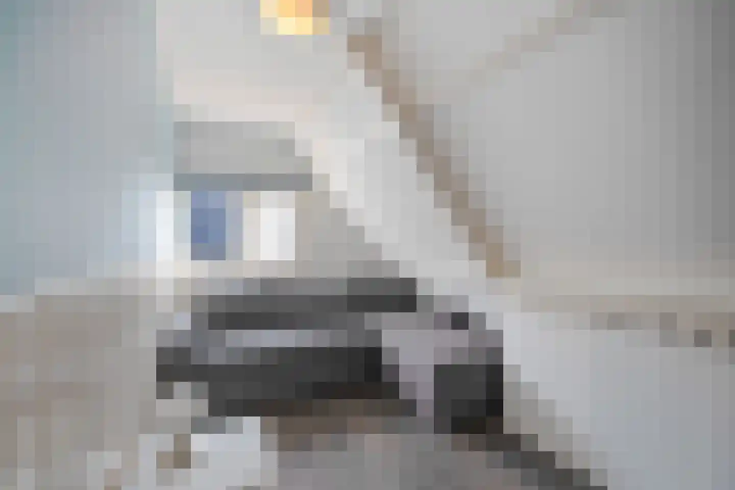 De Haukes 64 Westerland thumbnail 26