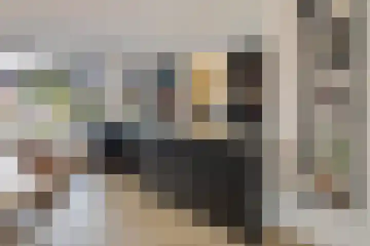 de Havekamp 2 a Luttenberg thumbnail 13
