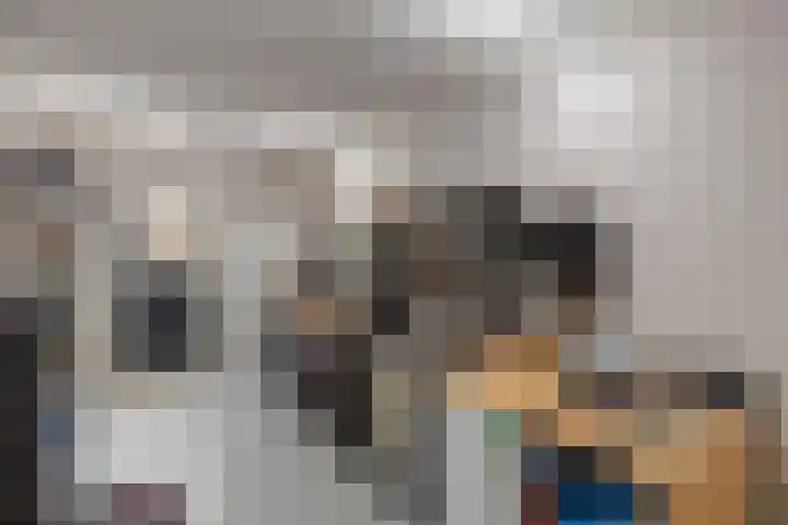 de Havekamp 2 a Luttenberg thumbnail 19