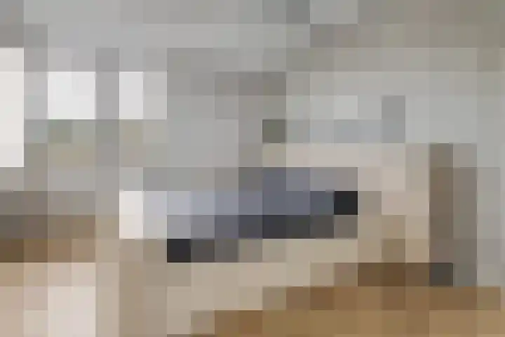 de Havekamp 2 a Luttenberg thumbnail 22