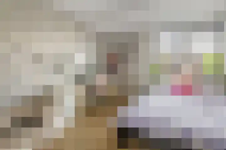 de Havekamp 2 a Luttenberg thumbnail 25