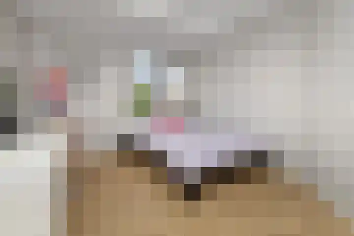 de Havekamp 2 a Luttenberg thumbnail 27
