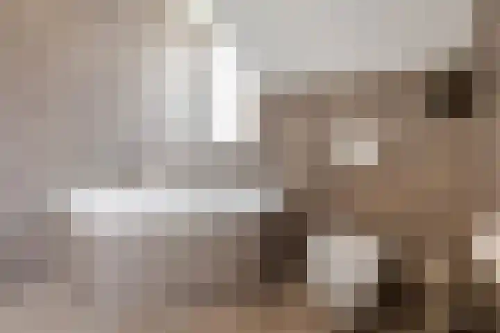 de Havekamp 2 a Luttenberg thumbnail 29