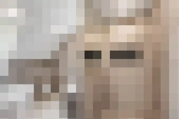 de Havekamp 2 a Luttenberg thumbnail 30
