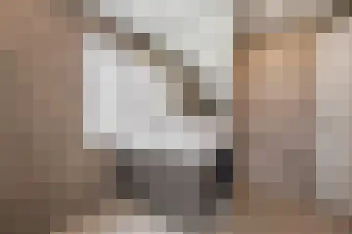de Havekamp 2 a Luttenberg thumbnail 31