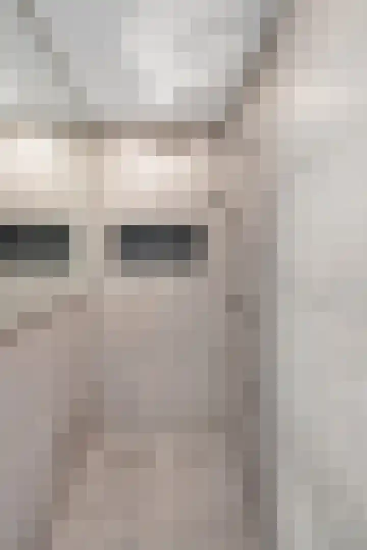 de Havekamp 2 a Luttenberg thumbnail 33