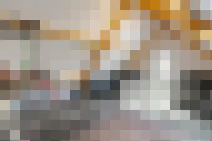 de Havekamp 2 a Luttenberg thumbnail 34