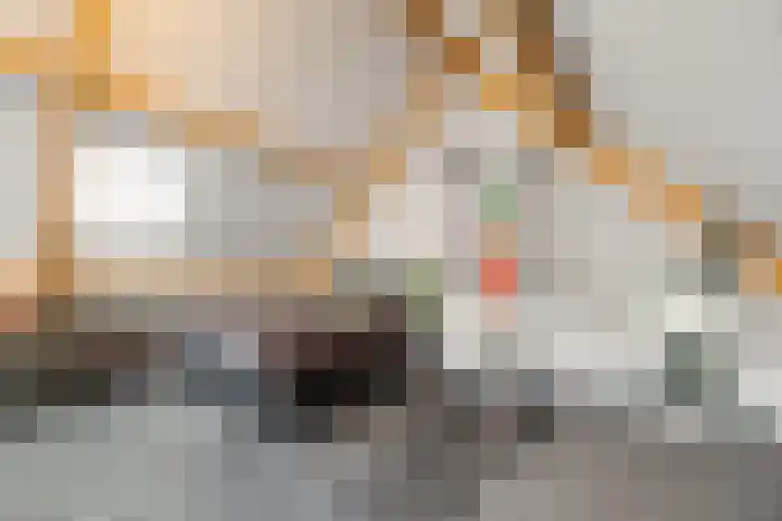 de Havekamp 2 a Luttenberg thumbnail 36