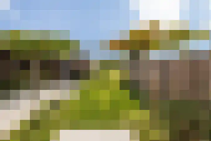 de Havekamp 2 a Luttenberg thumbnail 38