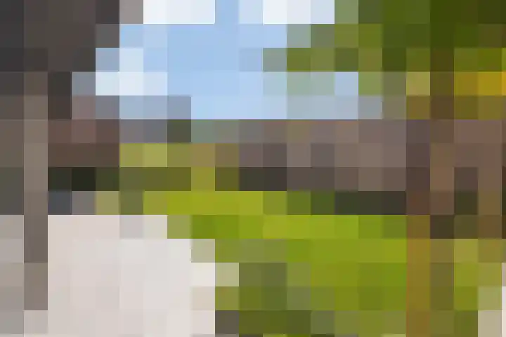 de Havekamp 2 a Luttenberg thumbnail 39