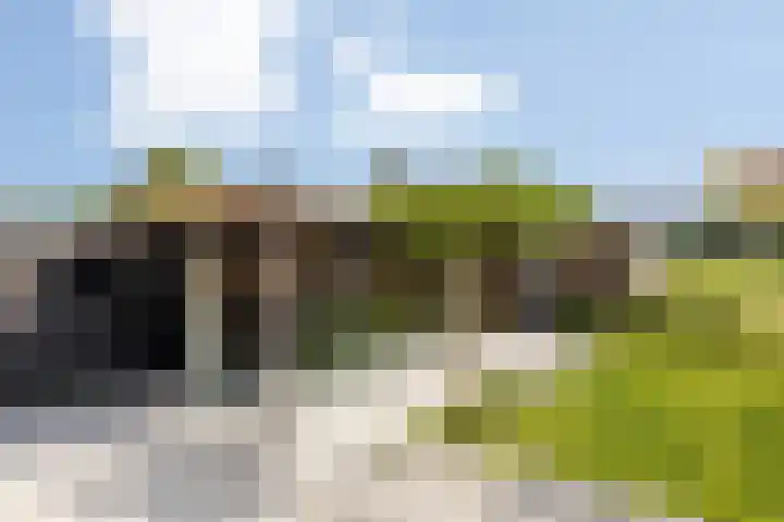 de Havekamp 2 a Luttenberg thumbnail 40