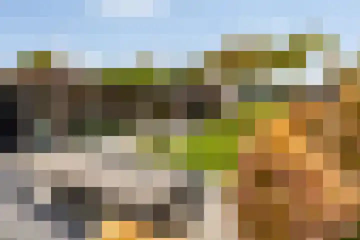 de Havekamp 2 a Luttenberg thumbnail 44