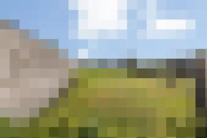 de Havekamp 2 a Luttenberg thumbnail 45