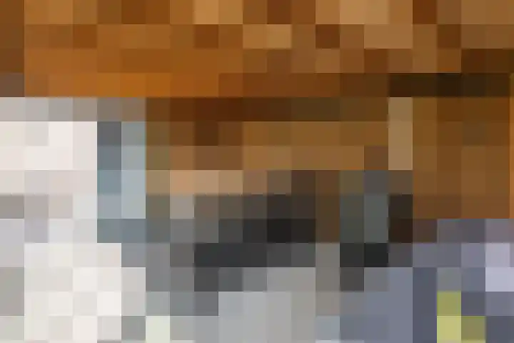 de Havekamp 2 a Luttenberg thumbnail 46