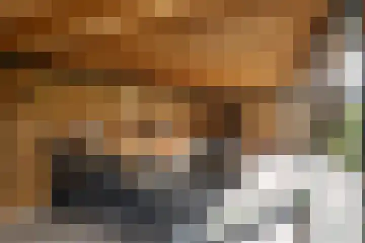 de Havekamp 2 a Luttenberg thumbnail 47