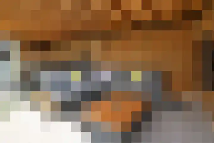 de Havekamp 2 a Luttenberg thumbnail 48