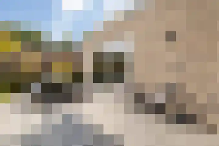 de Havekamp 2 a Luttenberg thumbnail 49