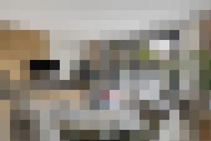 de Havekamp 2 a Luttenberg thumbnail 5