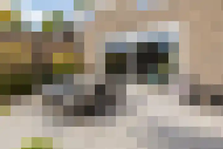 de Havekamp 2 a Luttenberg thumbnail 50