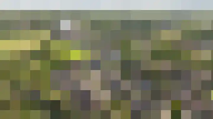 de Havekamp 2 a Luttenberg thumbnail 52