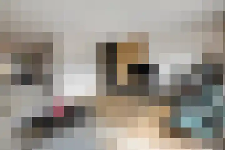 de Havekamp 2 a Luttenberg thumbnail 7