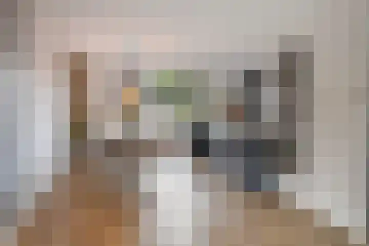 de Havekamp 2 a Luttenberg thumbnail 9
