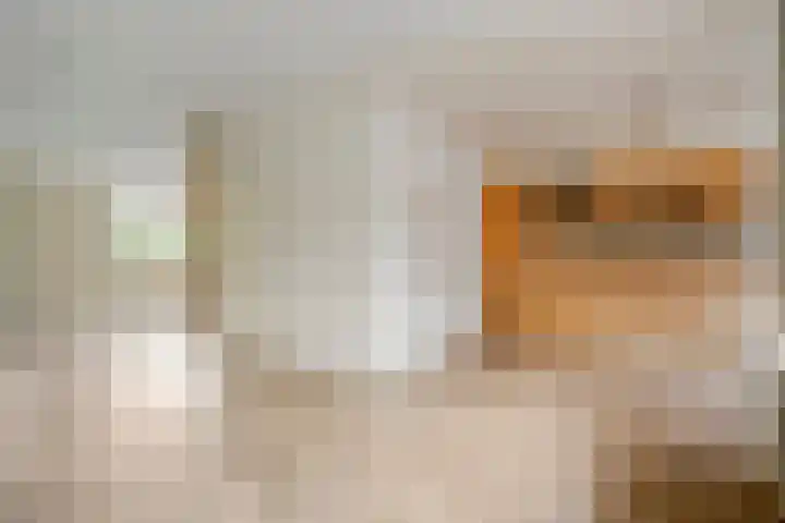 de Havekamp 40 Luttenberg thumbnail 18