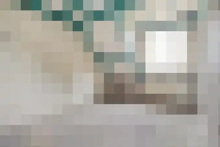 de Havekamp 40 Luttenberg thumbnail 30