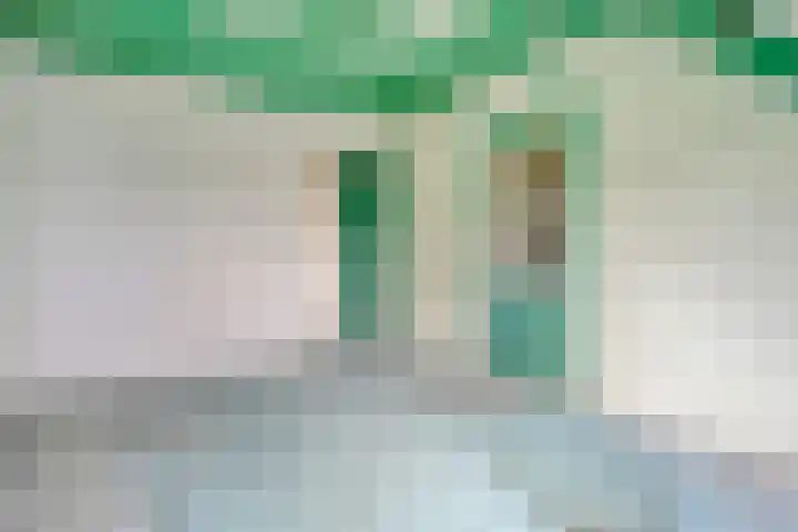 de Havekamp 40 Luttenberg thumbnail 37